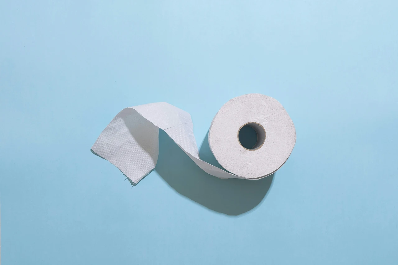 Immagine selezionata