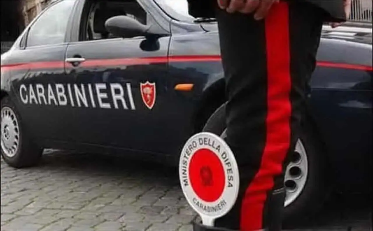 Immagine selezionata