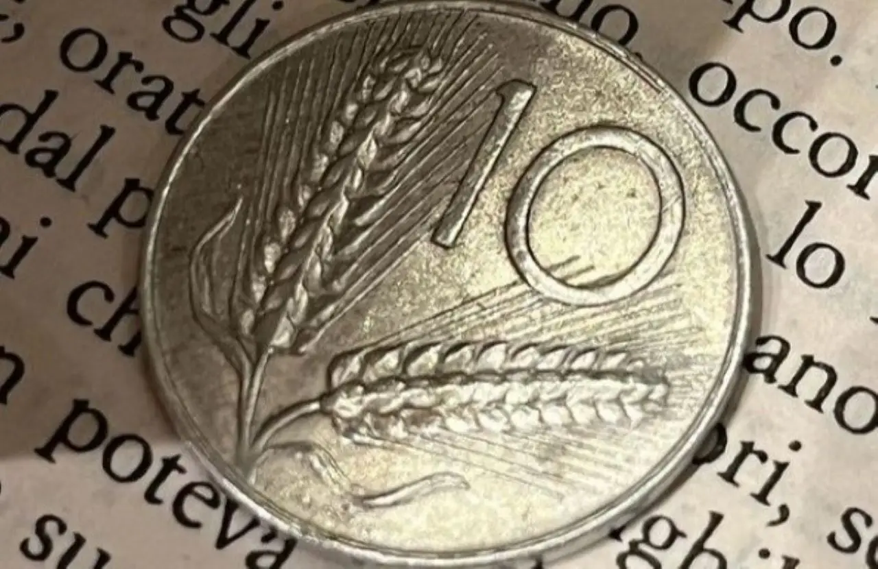 Immagine selezionata
