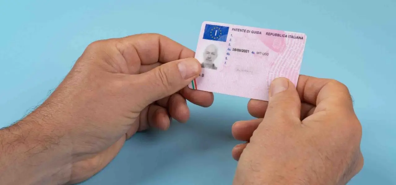 Immagine selezionata
