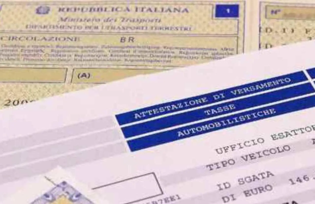 Immagine selezionata