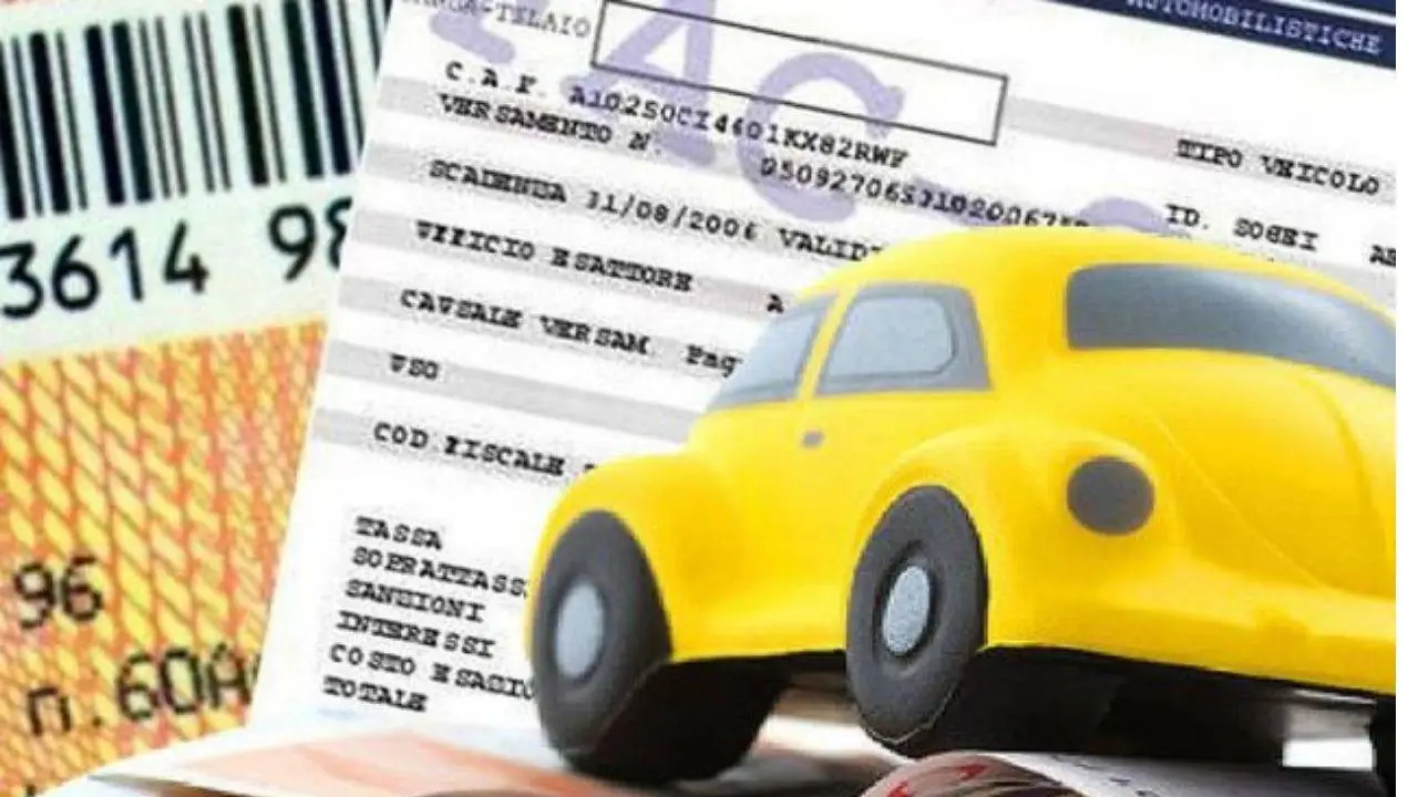 Immagine selezionata