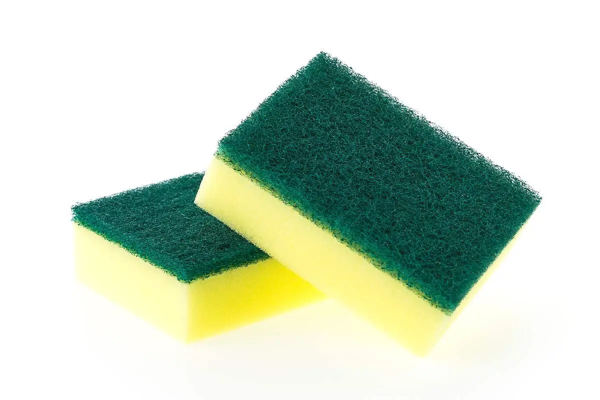 Immagine selezionata
