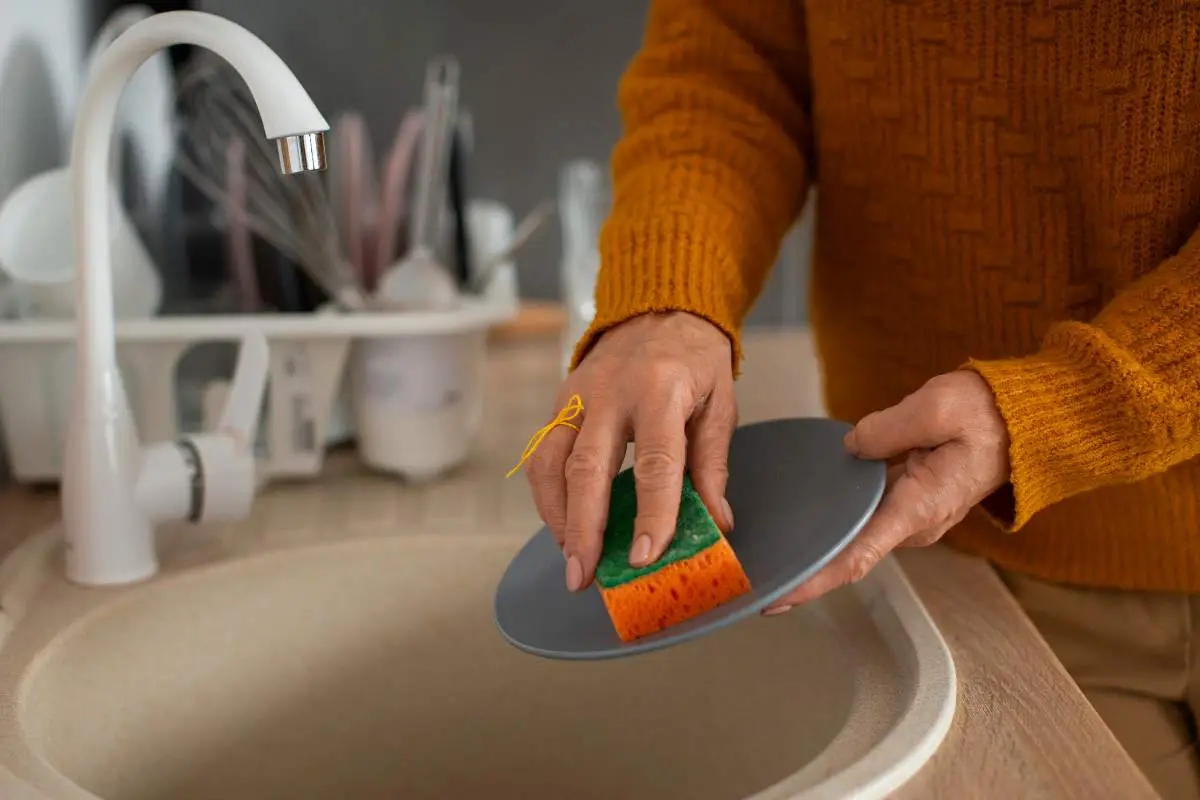 Immagine selezionata